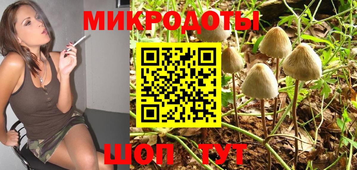 Псилоцибиновые грибы мицелий Нижний Новгород