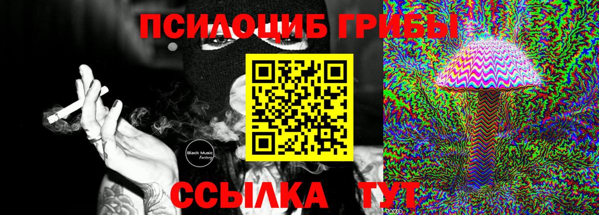Нижний Новгород  купить  сайты  Вход с VPN  Псилоцибиновые грибы Psilocybe 
